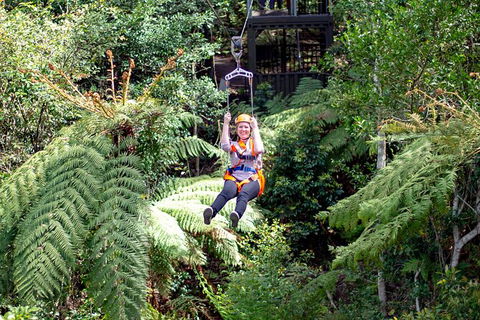Illawarra Fly Treetop Adventures Treetop Walk Admission Ticket - Tourism TAS 2