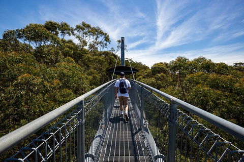 Illawarra Fly Treetop Adventures Treetop Walk Admission Ticket - Tourism TAS 0