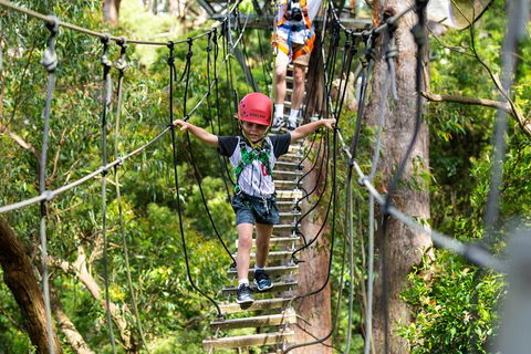 Illawarra Fly Treetop Adventures Treetop Walk Admission Ticket - Tourism TAS 3
