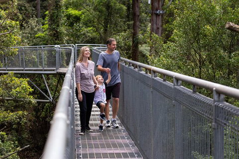 Illawarra Fly Treetop Adventures Treetop Walk Admission Ticket - Tourism TAS 1