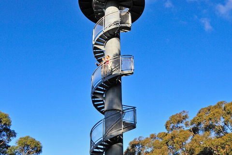 Illawarra Fly Treetop Adventures Treetop Walk Admission Ticket - Tourism TAS 5