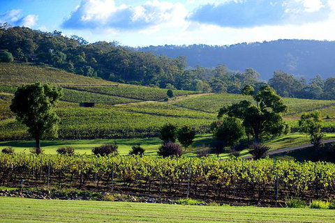 Ivanhoe Wines: Trip Advisor Seated Wine Tasting Masterclass - Tourism TAS 4