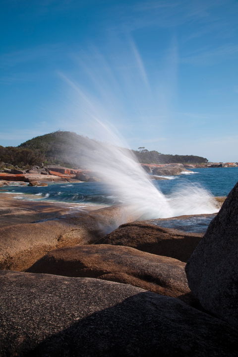 Bicheno Blowhole - Hobart Tourism 0