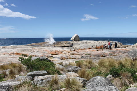 Bicheno Blowhole - Hobart Tourism 1