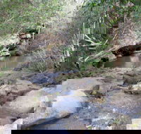 Bomaderry Creek Regional Park - Hobart Tourism