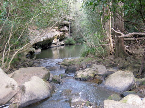 Bomaderry Creek Regional Park - Hobart Tourism 0