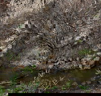 Brisbane Ranges National Park - Tourism TAS