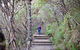 Princes Rock Walking Track - thumb 0