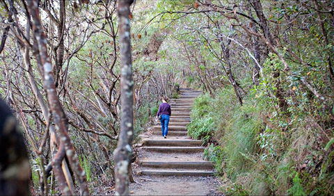Princes Rock Walking Track - Hobart Tourism 0