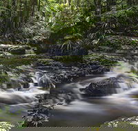Protesters Falls Walking Track - Hobart Tourism