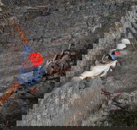 Small-Group Weekend Rock Climbing Adventure from Katoomba - Tourism TAS