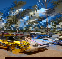 NSW Rally 2-Car Blast 16-Lap Drive and Ride Experience - Tourism TAS