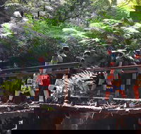 Glow Worm Tunnel Hike - Tourism TAS