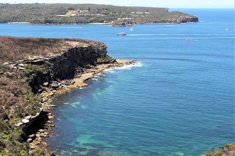 Half Day Manly Beach And More - Tourism TAS 9