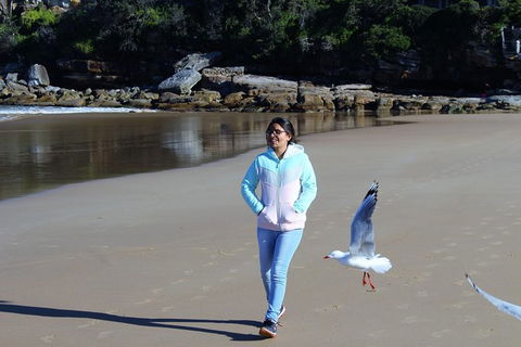 Half Day Manly Beach And More - Tourism TAS 6