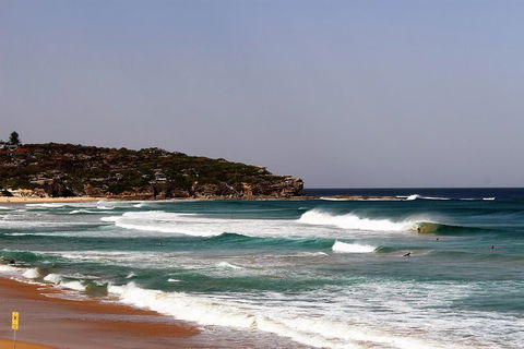 Half Day Manly Beach And More - Tourism TAS 0