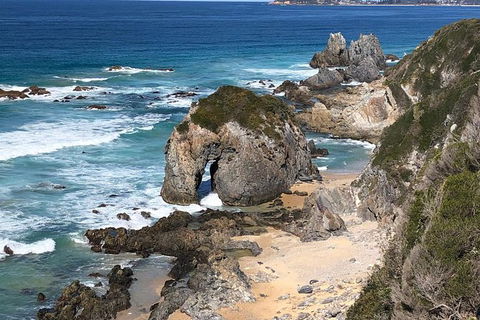 Narooma And Tilba Valley Private Tour - Hobart Tourism 8