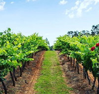 Tintilla Estate Wine Tasting with a Meat and Cheese Platter - Tourism TAS