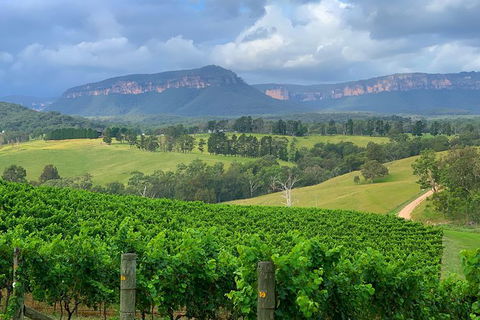 Private Blue Mountains And Wildlife Park Tour From Sydney With Barbecue Lunch - Tourism TAS 2