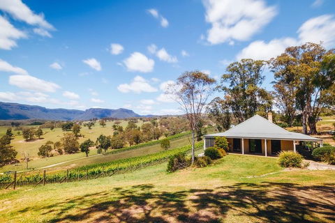 Private Blue Mountains And Wildlife Park Tour From Sydney With Barbecue Lunch - Tourism TAS 7