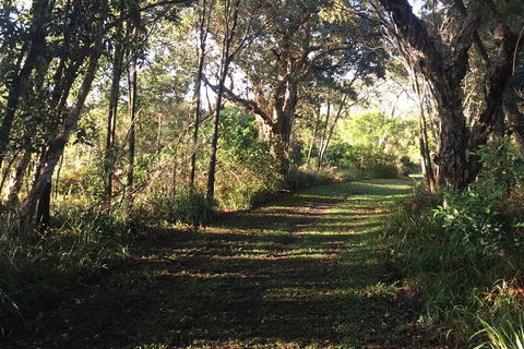 Coffs Harbour To Sawtell Bike Ride - Hobart Tourism 7