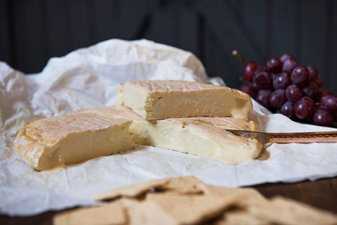Artisan Cheese Tastings And Sales - Tourism TAS 8