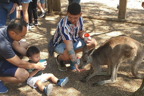 Blue Mountains & Iconic Animals - The Western Front - Hobart Tourism 7