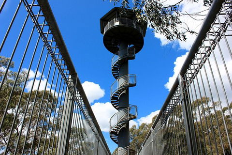 Illawarra Fly Treetop Adventures Admission Including Zipline Tour - Tourism TAS 3