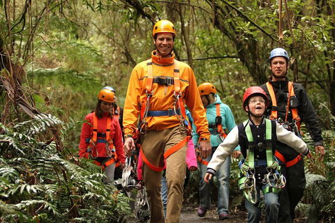 Illawarra Fly Treetop Adventures Admission Including Zipline Tour - Tourism TAS 1