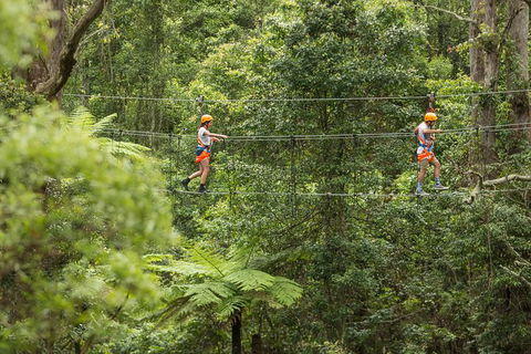 Illawarra Fly Treetop Adventures Admission Including Zipline Tour - Tourism TAS 0