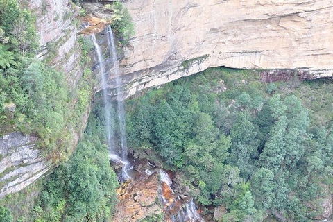 All-Inclusive Blue Mountains Tour In A Luxury Mercedes Sprinter - Tourism TAS 9