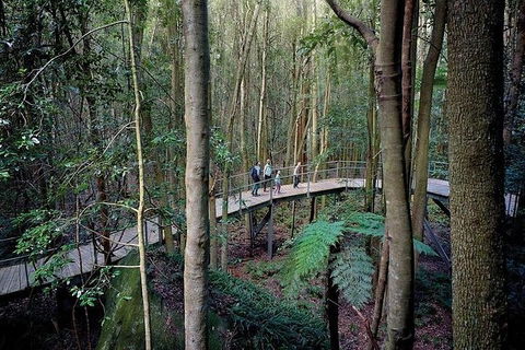 All-Inclusive Blue Mountains Tour In A Luxury Mercedes Sprinter - Tourism TAS 13