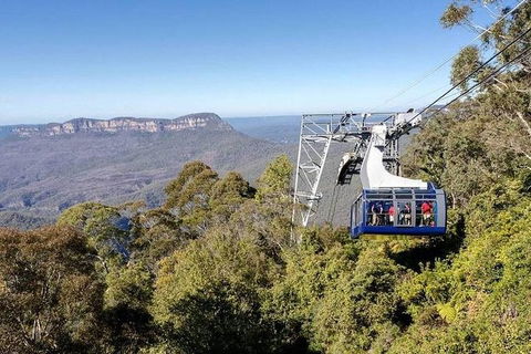 All-Inclusive Blue Mountains Tour In A Luxury Mercedes Sprinter - Tourism TAS 11