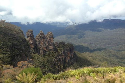 All-Inclusive Blue Mountains Tour In A Luxury Mercedes Sprinter - Tourism TAS 3