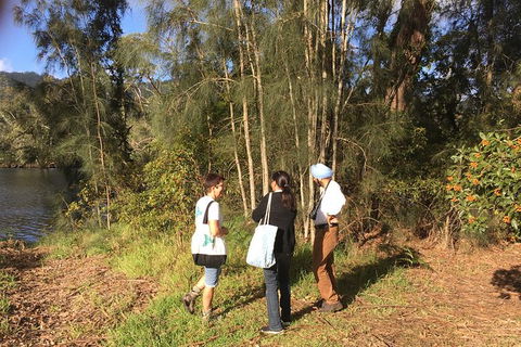 Fishermans Paradise Eco-walk - Hobart Tourism 1