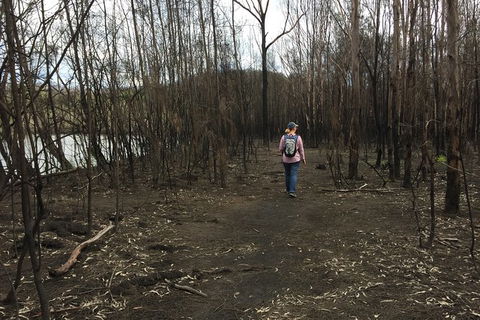 Fishermans Paradise Eco-walk - Hobart Tourism 5