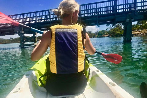 2-Hour Rental Kayak Double In Brunswick River - Hobart Tourism 3