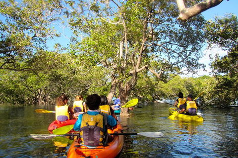 2-Hour Rental Kayak Double In Brunswick River - Hobart Tourism 2