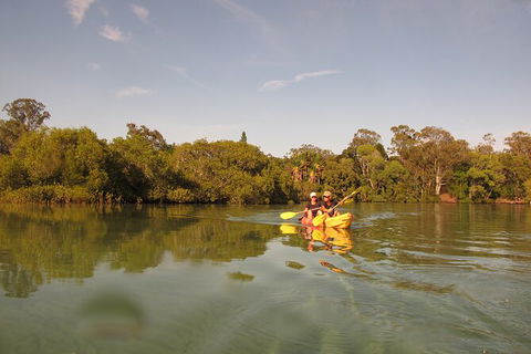 2-Hour Rental Kayak Double In Brunswick River - Hobart Tourism 5