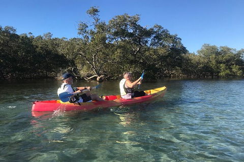 2-Hour Rental Kayak Double In Brunswick River - Hobart Tourism 4