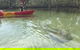 2-Hour Rental Kayak Double In Brunswick River - thumb 6