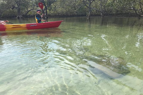 2-Hour Rental Kayak Double In Brunswick River - Hobart Tourism 6