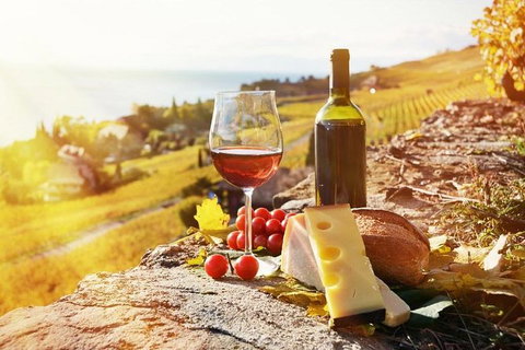 Six Hour - Plan Your Own Wine And Cheese Tour Hunter Valley - Tourism TAS 0