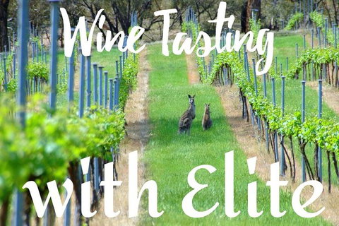 Six Hour - Plan Your Own Wine And Cheese Tour Hunter Valley - Tourism TAS 7