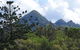 Byron Bay Rainforest Eco-Cruise - thumb 3