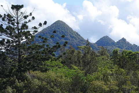 Byron Bay Rainforest Eco-Cruise - Hobart Tourism 3