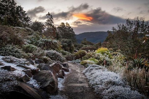 Blue Mountains Botanic Garden And Bilpin Tour From Katoomba With Cider Tasting - Hobart Tourism 2