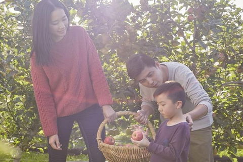 Blue Mountains Botanic Garden And Bilpin Tour From Katoomba With Cider Tasting - Hobart Tourism 1