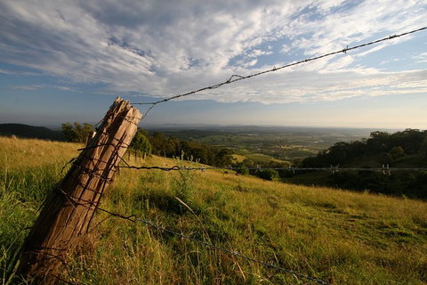 Private Full-Day Wine Tour In Hunter Valley - Tourism TAS 3