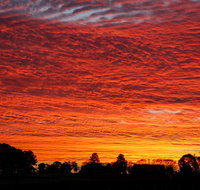 Private Full-Day Wine Tour in Hunter Valley - Tourism TAS